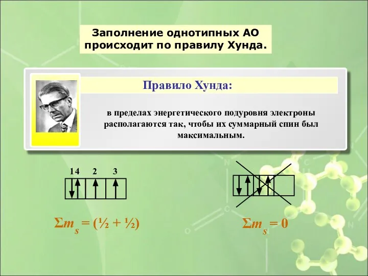 Заполнение однотипных АО происходит по правилу Хунда. Σms = (½ +