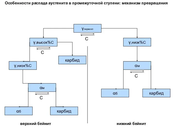 Особенности распада аустенита в промежуточной ступени: механизм превращения γпереохл С γ,низк%С