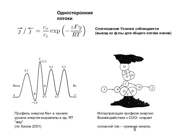 Соотношение Уссинга соблюдается (вывод из ф-лы для общего потока ионов) Односторонние