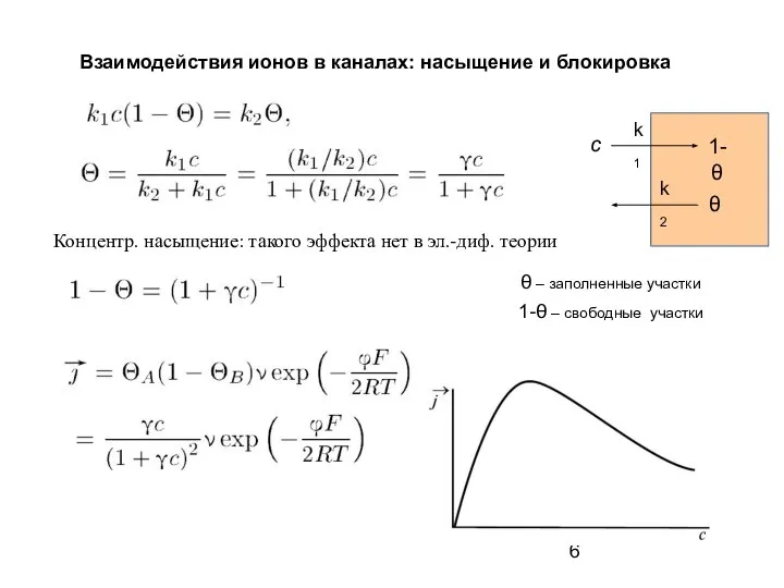 Взаимодействия ионов в каналах: насыщение и блокировка с k1 1-θ –