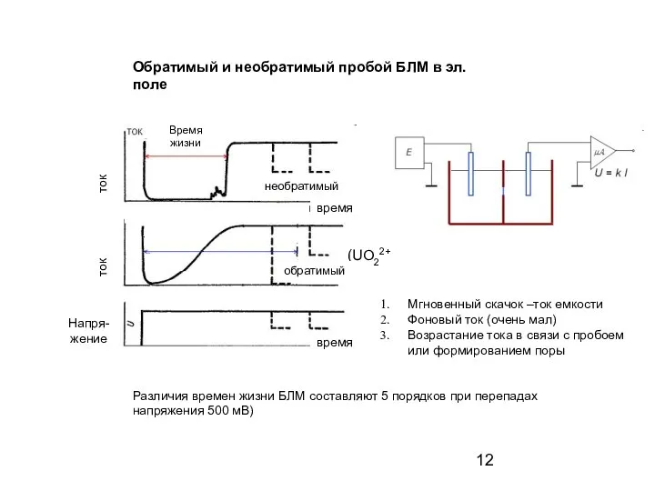 Обратимый и необратимый пробой БЛМ в эл. поле Время жизни ток
