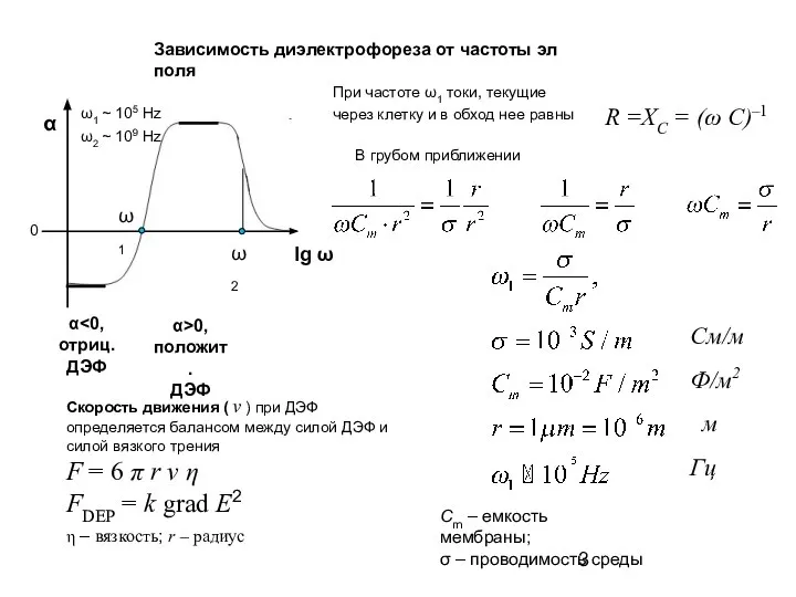 Скорость движения ( v ) при ДЭФ определяется балансом между силой