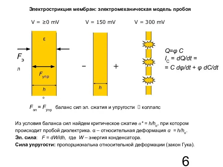 V = ≥0 mV V = 150 mV V = 300