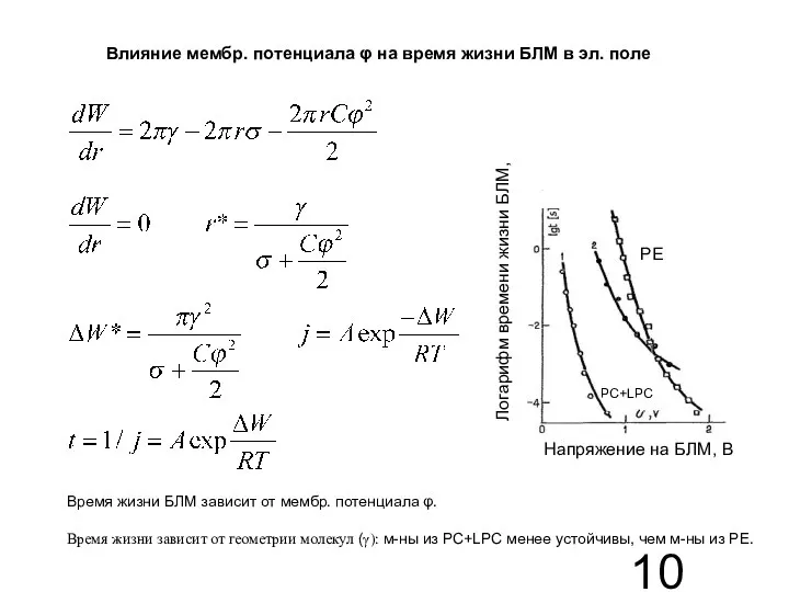 Влияние мембр. потенциала φ на время жизни БЛМ в эл. поле