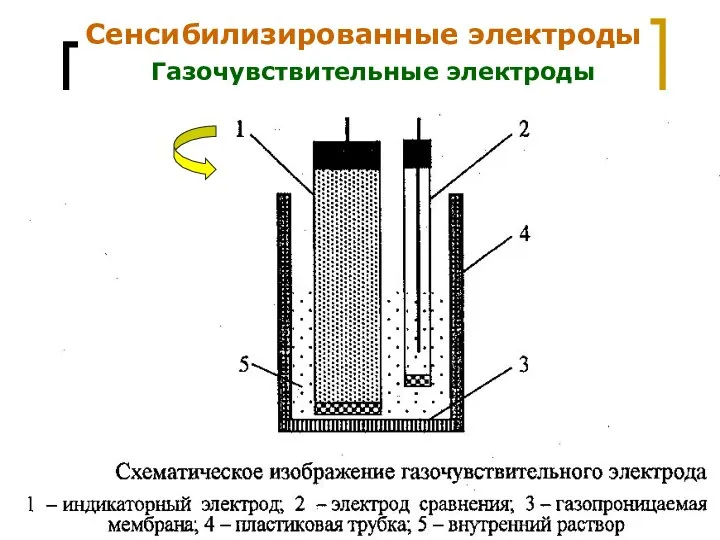 МККОС. Л.К. № 9. Попова Людмила Федоровна Сенсибилизированные электроды Газочувствительные электроды