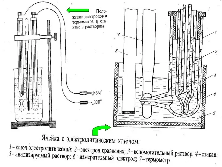 МККОС. Л.К. № 9. Попова Людмила Федоровна