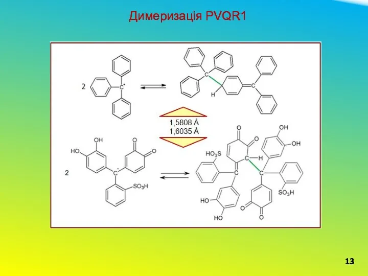 Димеризація PVQR1 13