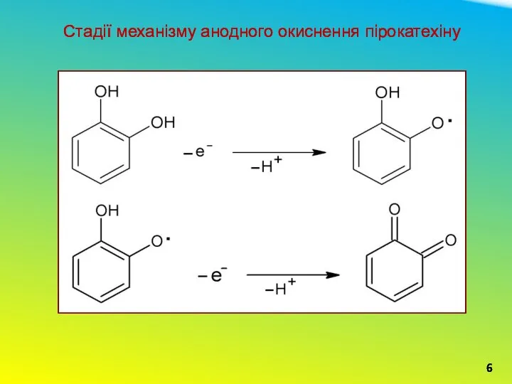 6 Стадії механізму анодного окиснення пірокатехіну