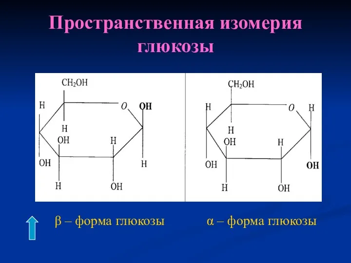 Пространственная изомерия глюкозы β – форма глюкозы α – форма глюкозы