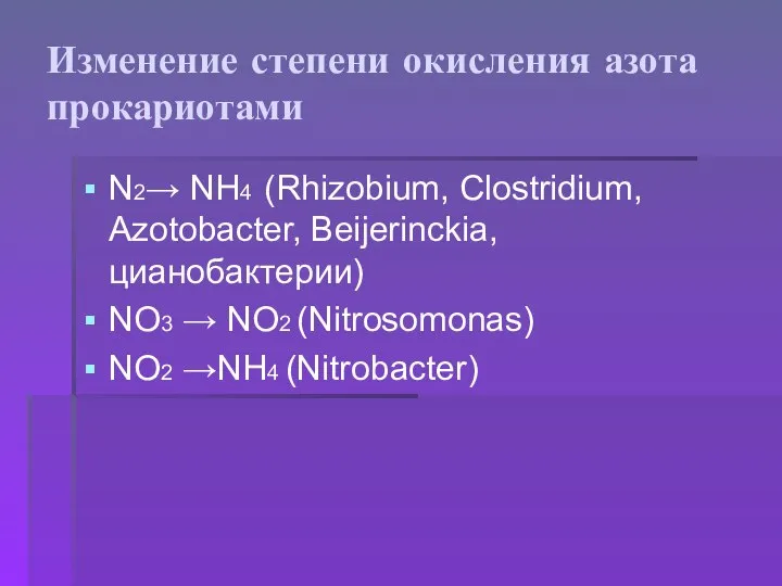 Изменение степени окисления азота прокариотами N2→ NH4 (Rhizobium, Clostridium, Azotobacter, Beijerinckia,