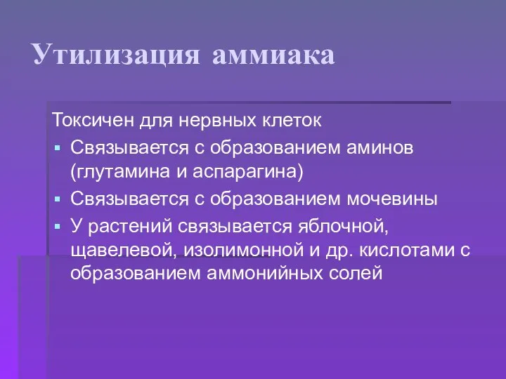 Утилизация аммиака Токсичен для нервных клеток Связывается с образованием аминов (глутамина