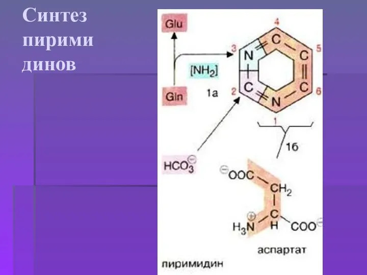 Синтез пирими динов