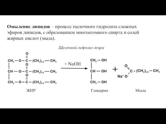 Омыление липидов – процесс щелочного гидролиза сложных эфиров липидов, с образованием