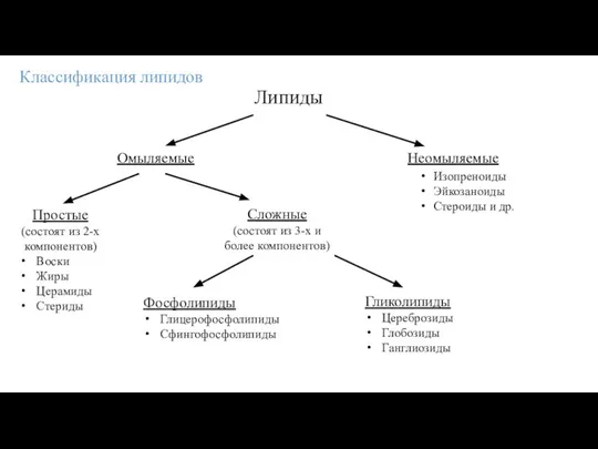 Классификация липидов Липиды Неомыляемые Омыляемые Изопреноиды Эйкозаноиды Стероиды и др. Простые