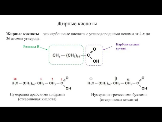 Жирные кислоты Жирные кислоты – это карбоновые кислоты с углеводородными цепями