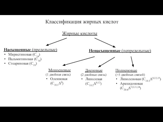 Жирные кислоты Насыщенные (предельные) Миристиновая (С14) Пальмитиновая (С16) Стеариновая (С18) Ненасыщенные