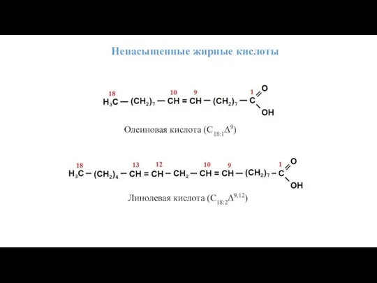 Ненасыщенные жирные кислоты Олеиновая кислота (С18:1Δ9) Линолевая кислота (С18:2Δ9,12)