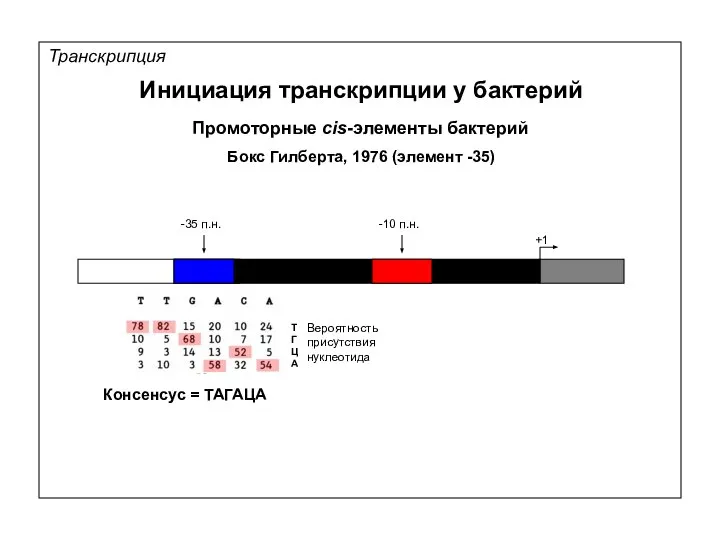 Транскрипция Инициация транскрипции у бактерий Промоторные cis-элементы бактерий +1 Бокс Гилберта,