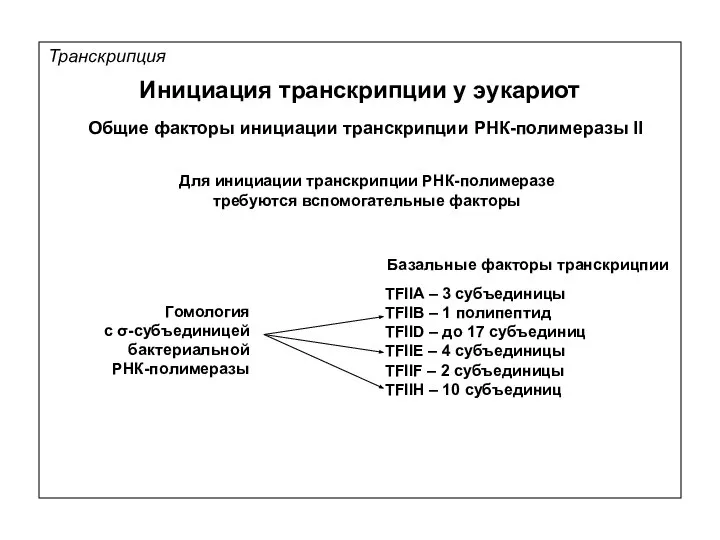 Транскрипция Инициация транскрипции у эукариот Общие факторы инициации транскрипции РНК-полимеразы II