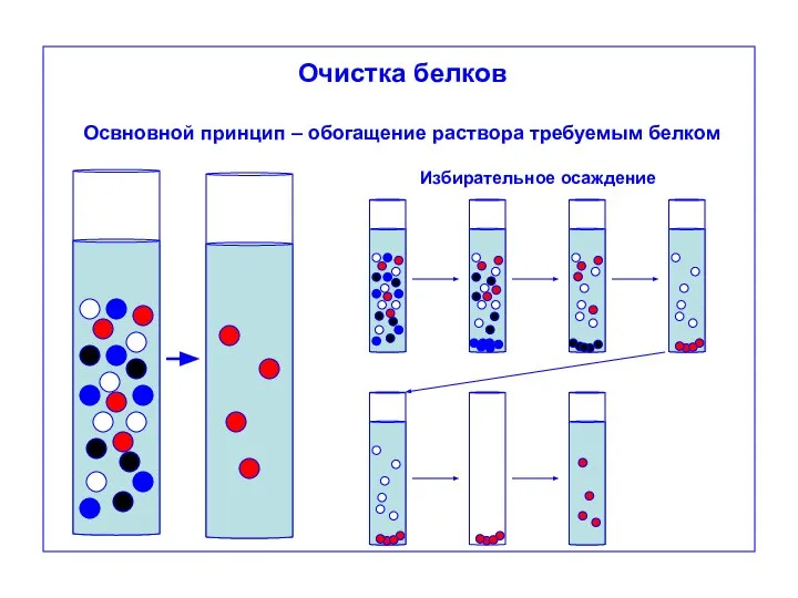 Очистка белков Освновной принцип – обогащение раствора требуемым белком Избирательное осаждение