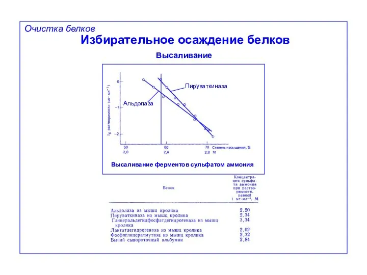 Избирательное осаждение белков Высаливание Очистка белков