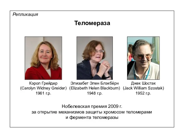 Репликация Теломераза Нобелевская премия 2009 г. за открытие механизмов защиты хромосом теломерами и фермента теломеразы