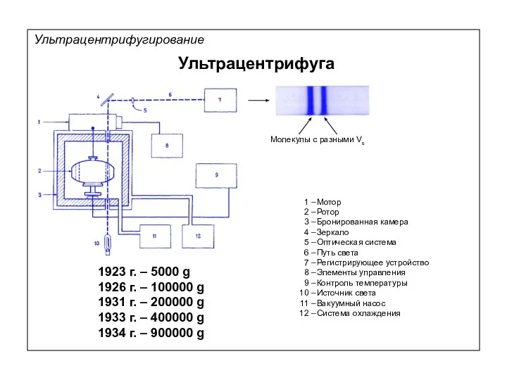 Ультрацентрифуга Молекулы с разными Vs Ультрацентрифугирование 1923 г. – 5000 g