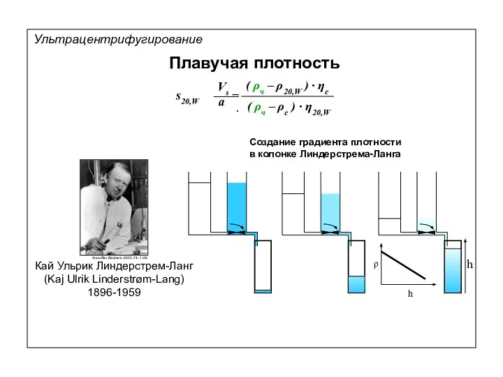 Плавучая плотность Создание градиента плотности в колонке Линдерстрема-Ланга Annu.Rev.Biochem.-2005.-74.-1–28 Ультрацентрифугирование h