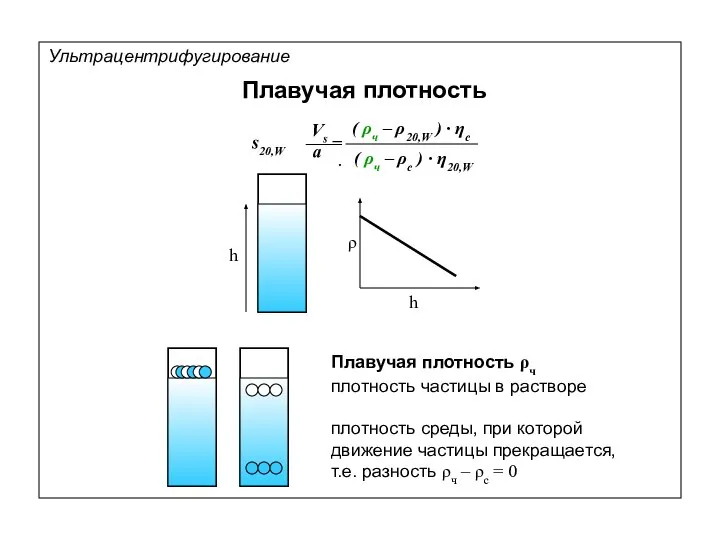 ρ h Плавучая плотность Плавучая плотность ρч плотность среды, при которой