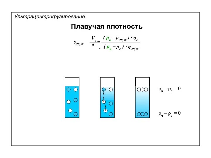 Плавучая плотность ρч – ρс = 0 ρч – ρс = 0 Ультрацентрифугирование