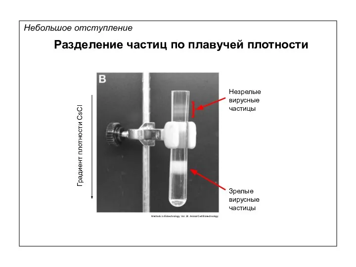 Небольшое отступление Разделение частиц по плавучей плотности Methods in Biotechnology, Vol.