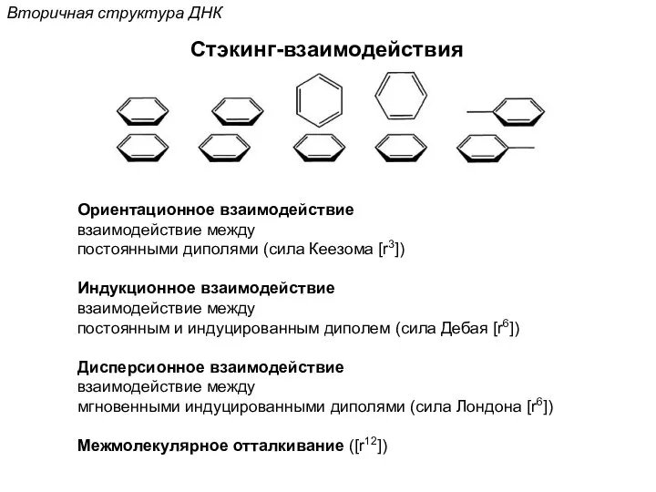 Стэкинг-взаимодействия Вторичная структура ДНК Ориентационное взаимодействие взаимодействие между постоянными диполями (сила