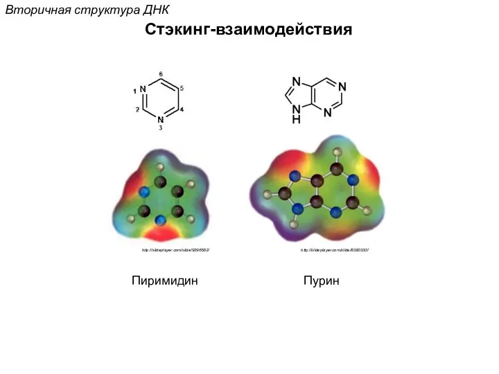 Стэкинг-взаимодействия Вторичная структура ДНК http://slideplayer.com/slide/9396582/ Пиримидин http://slideplayer.com/slide/8380330/ Пурин