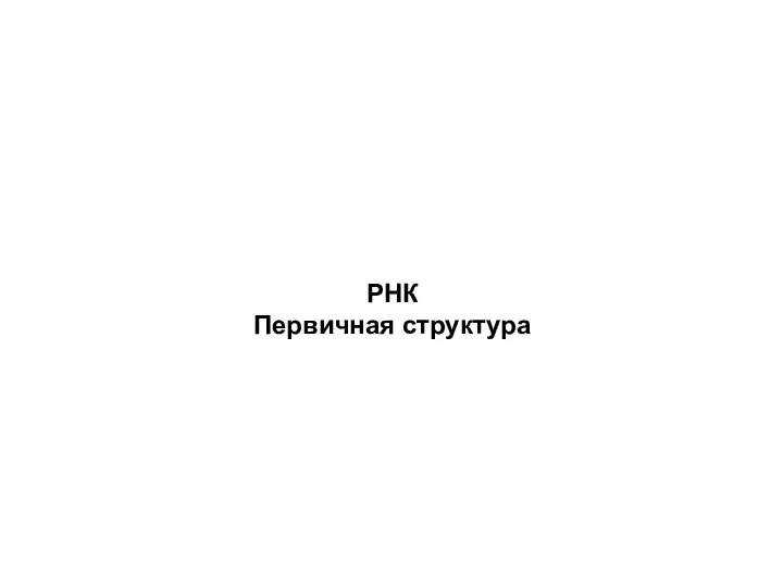 РНК Первичная структура