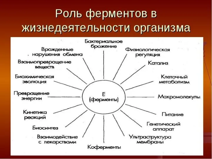 Важное замечание! Концентрация конденсированной фазы не включается в выражение ЗДМ, т.к.