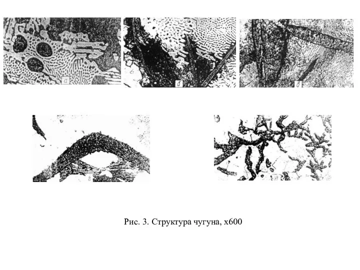 Рис. 3. Структура чугуна, х600