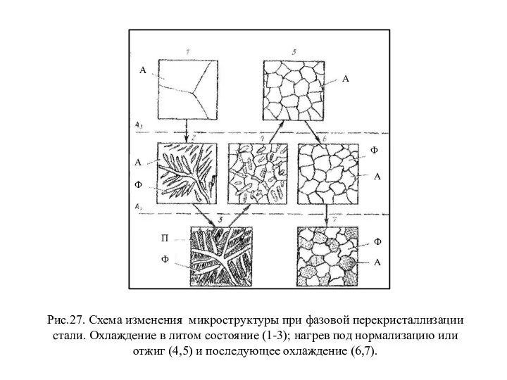 Рис.27. Схема изменения микроструктуры при фазовой перекристаллизации стали. Охлаждение в литом