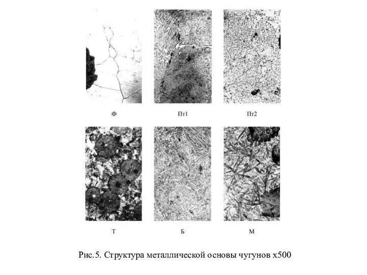 Рис.5. Структура металлической основы чугунов х500