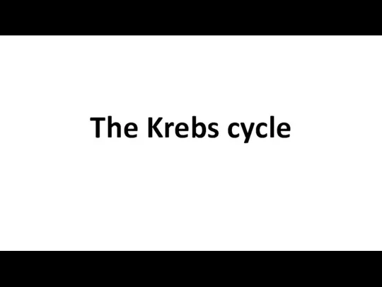 The Krebs cycle