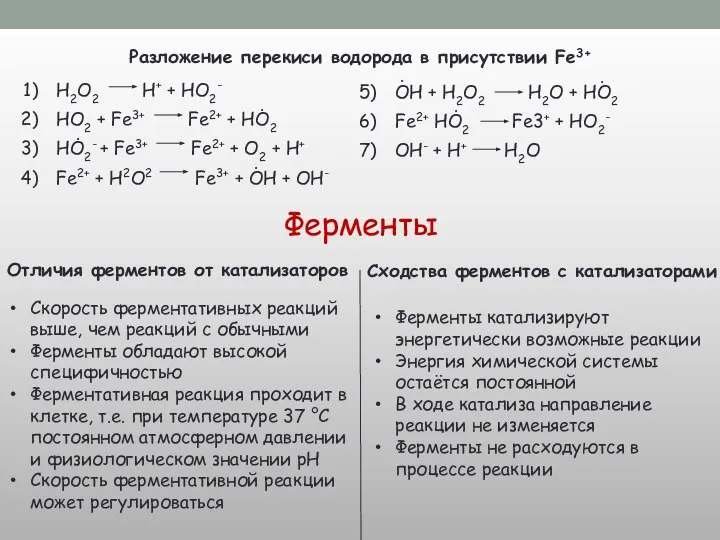 Ферменты Отличия ферментов от катализаторов Сходства ферментов с катализаторами Ферменты катализируют