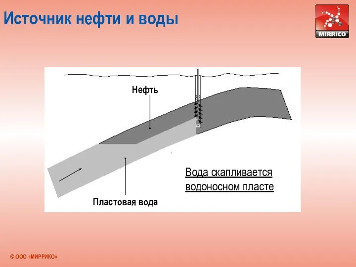 Источник нефти и воды Пластовая вода Нефть Вода скапливается водоносном пласте