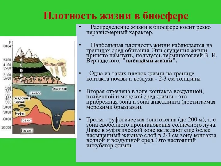 Плотность жизни в биосфере Распределение жизни в биосфере носит резко неравномерный