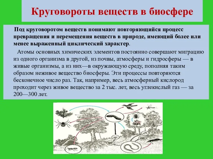 Круговороты веществ в биосфере Под круговоротом веществ понимают повторяющийся процесс превращения