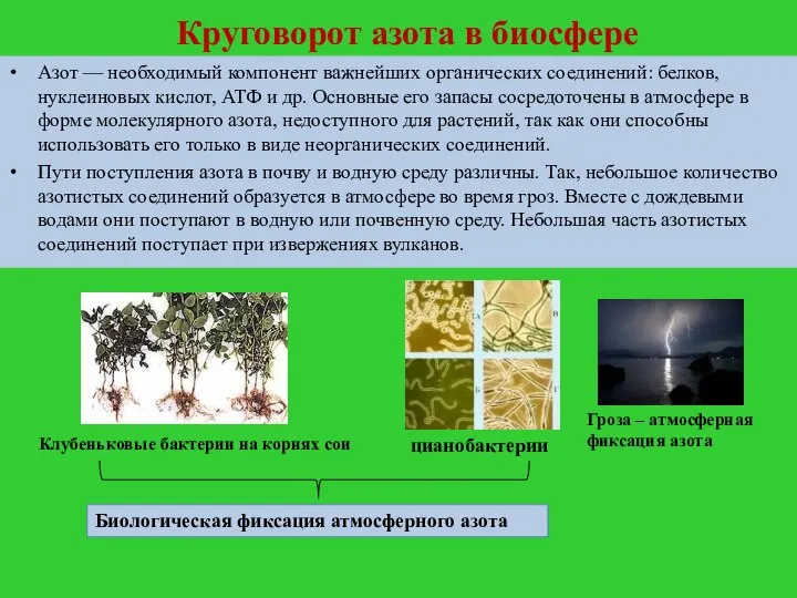 Круговорот азота в биосфере Азот — необходимый компонент важнейших органических соединений: