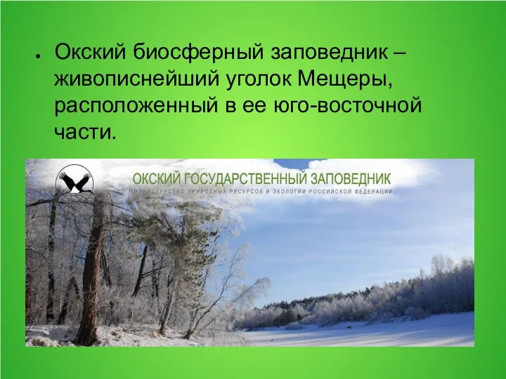 Окский биосферный заповедник – живописнейший уголок Мещеры, расположенный в ее юго-восточной части.