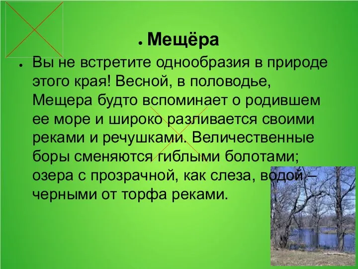 Мещёра Вы не встретите однообразия в природе этого края! Весной, в