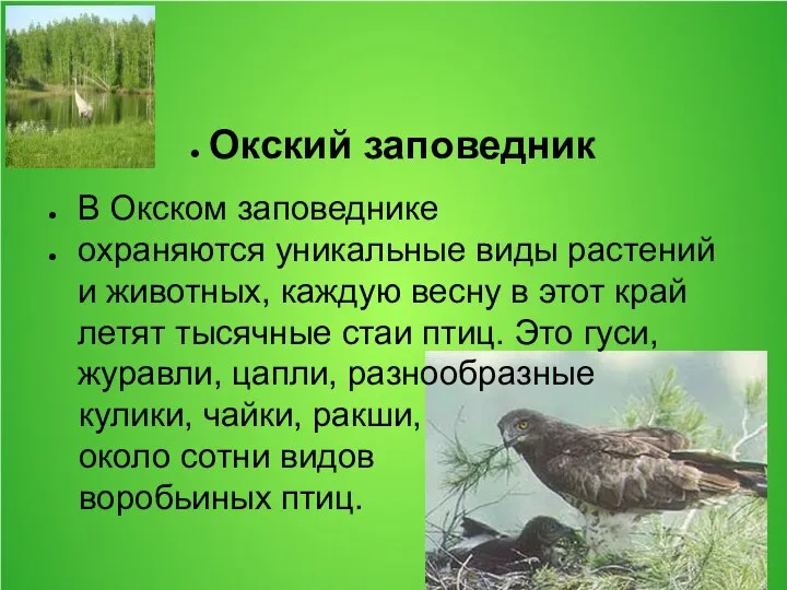 Окский заповедник В Окском заповеднике охраняются уникальные виды растений и животных,