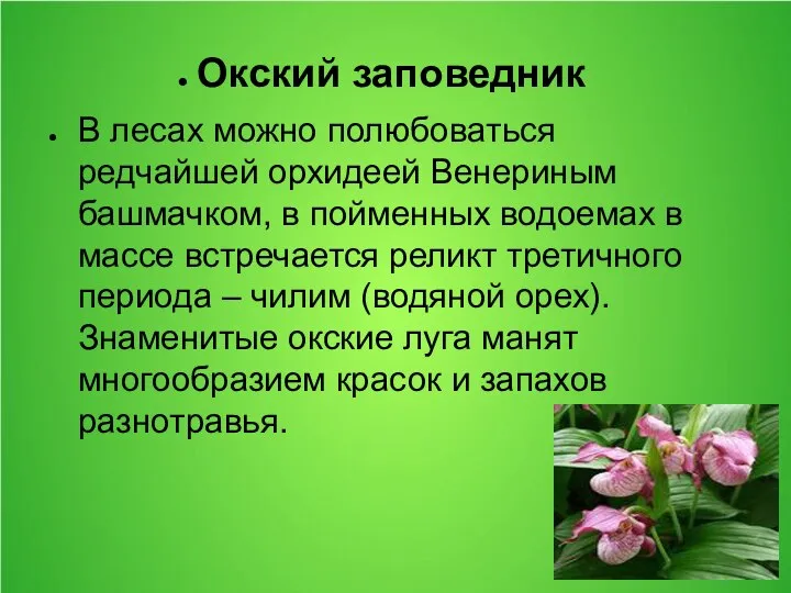 Окский заповедник В лесах можно полюбоваться редчайшей орхидеей Венериным башмачком, в