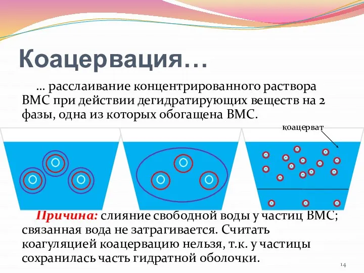 Коацервация… … расслаивание концентрированного раствора ВМС при действии дегидратирующих веществ на