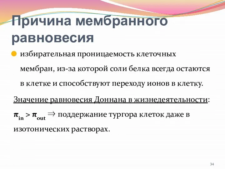 Причина мембранного равновесия избирательная проницаемость клеточных мембран, из-за которой соли белка